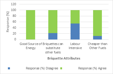 Consumer perception on briquette attributes