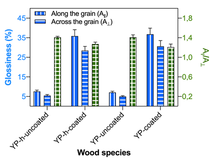 The glossiness of YP-h and YP along (A‖) and across (A⊥) the wood grain (A‖/A⊥ was the glossiness ratio between A‖ and A⊥)