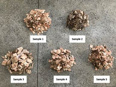 Collected samples of Eucalyptus woodchips used in this study