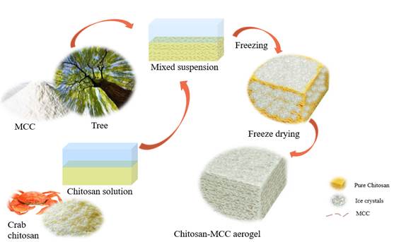 Manufacturing process of chitosan-MCC aerogels