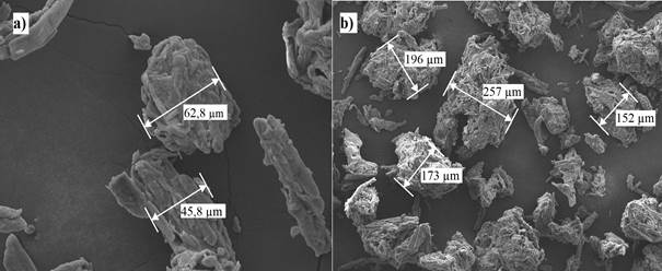 The SEM image of pure MCC powder; (a) minimum measured diameter of MCC particles, (b) maximum measured diameter of MCC particles