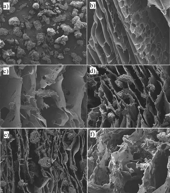 The SEM images of aerogels; (a) pure microcrystalline cellulose powder, (b) pure chitosan powder, (c) group 2, (d) group 3, (e) group 4, (f) group 5