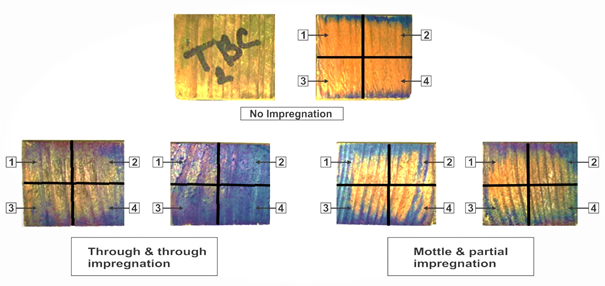 Representative image for treatability evaluation (1,2,3 and 4 represents four sections in each sample)