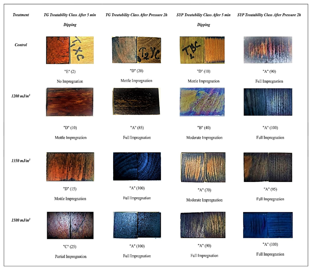 Treatability Evaluation of TG and SYP after Dipping and Pressure Treatment. (Values in Parentheses denote mean penetration percentage/ ICCA of each set consisting 10 replicates. Blue color indicates the presence of Copper. Corresponding photos represent each set)
