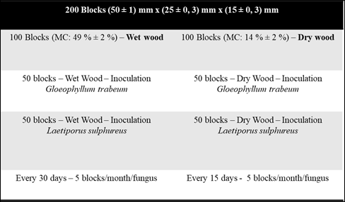 Durability essay and treatment