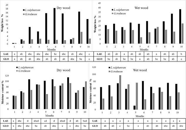 Weight loss and moisture content monthly variation of E. grandis dry wood and wet wood samples and Tukey test - Different letters indicate significant differences (p<0,10)