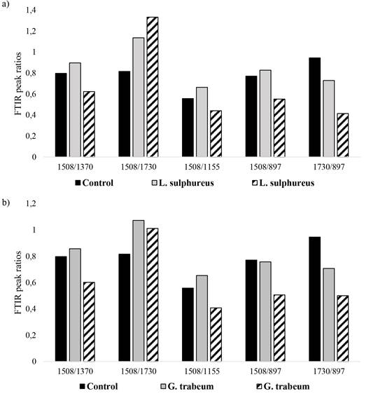 Histograms the values of the ratios calculated between the selected FTIR band heights by dry wood. Absorption bands: 1508 cm-1: lignin; 1730 cm-1: hemicelluloses C-O stretching; 1370 cm-1: cellulose and hemicelluloses C\ \H deformation; 1155 cm-1: cellulose and hemicelluloses C-O-C vibration; 897 cm-1: cellulose C\ \H deformation. a) L. sulphureus, b) G. trabeum at 5 and 10 months