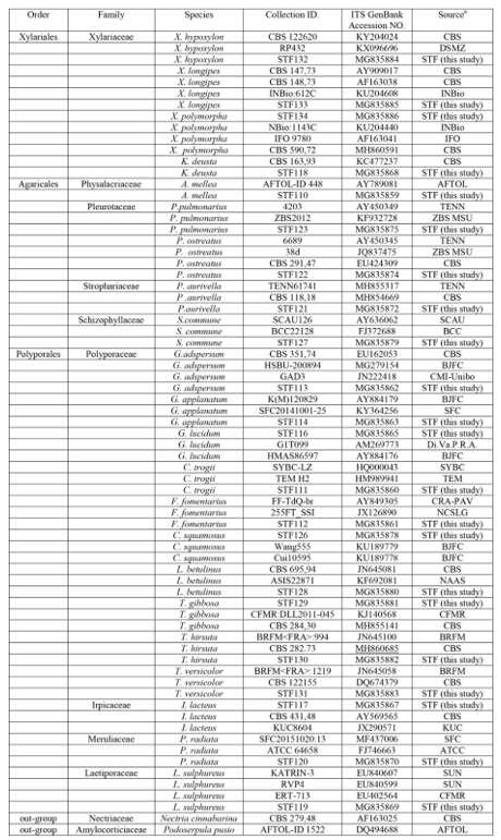 Fungal strains used for phylogenetic analysis with their GenBank accessions