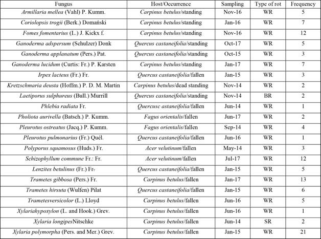 Fungal taxa recognized with their hosts, sampling date, rot type, and frequency