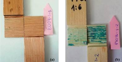Fracture surface analysis. (a) Eucalyptus and (b) pine where the blue area corresponds to the exposed glued line.
