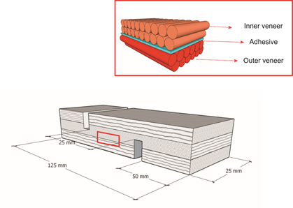 Scheme of IRAM 9562 (2006) samples dimensions and microsectioning area of bondline. 