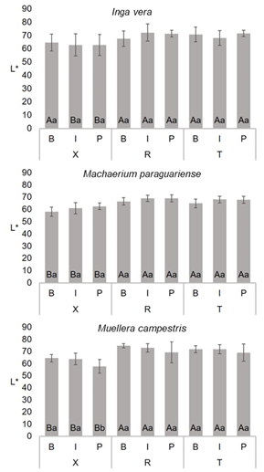 Mean values of luminosity (L*) of Fabaceae species. For each species, same capital letters in the same trunk position between different sections and same small letters in the same section and between trunk position do not differ significatively by the Scott-Knott test at 95 % significance. B = bark, I = intermediate, P = pith, X = transversal, R = radial and T = tangential sections.