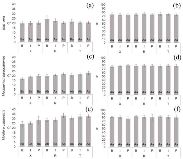 Mean values of parameters C*(a, c, e) and h (b, d, f) of Fabaceae species. For each species, the same capital letters in the same trunk position between different sections and the same small letters in the same section and between trunk positions do not differ significatively by the Scott-Knott test at 95 % significance. B = bark, I = intermediate, P = pith, X = transversal, R = radial and T = tangential sections.