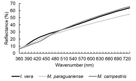 Visible reflectance spectra of Fabaceae species.