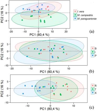 Score graph of PCA with mean raw spectra of Fabaceae species. (a) basedon species, (b) in function of radial position in trunk and (c) for anatomical sections.