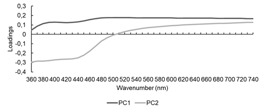 PCA factor loading graph with original visible spectra of Fabaceae species.