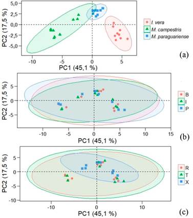 PCA score graph with mean second-derivative spectra of Fabaceae species. (a) based on species, (b) in function of radial position in trunk and (c) for anatomical section.