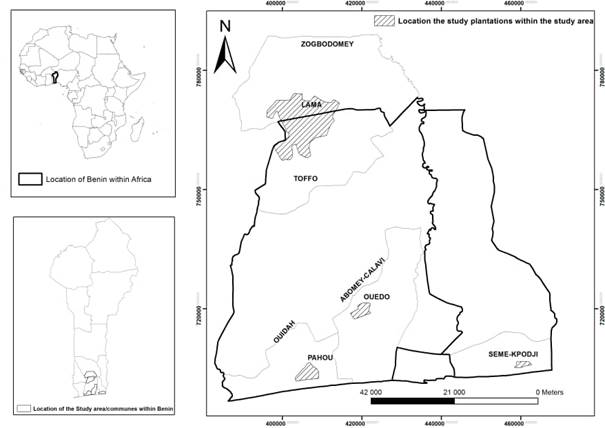 Map of study area and location of the study plantations.