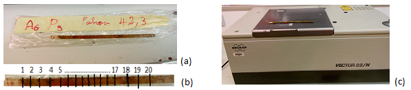 A. auriculiformis wood core packed within the field with codes indicating the location, the tree and tree diameter (a); a wood core marked for measurements (b) and the spectrometer used to make the measurements (c).