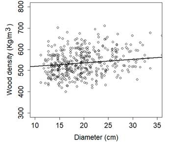 Wood density of A. auriculiformis as a function of the tree diameter.