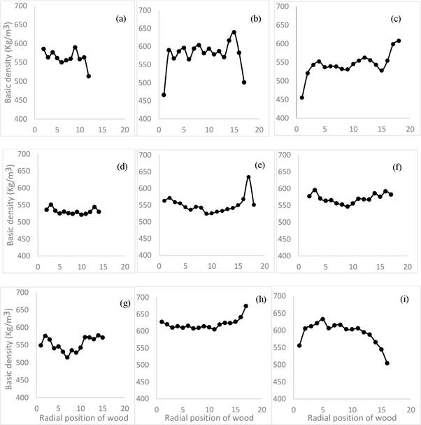 Variations in the wood density of A. auriculiformis as a function of the radial position of the wood and the age of the plantation: (a) = 4 years old plantation; (b) = 5 years old plantation; (c) = 6 years old plantation; (d)= 7 years old plantation; (e) = 9 years old plantation; (f) = 11 years old plantation; (g) = 15 years old plantation; (h) = 27 years old plantation; (i) = 29 years old plantation.