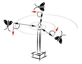 Spiral flying path around close light sources (Mirjalili 2015).