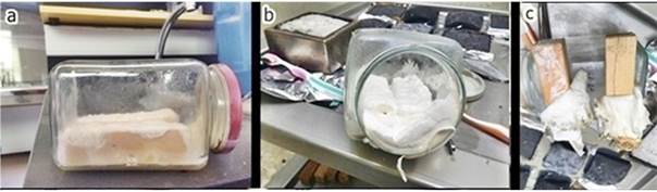 (a) Heterogeneous and (b) homogeneous colonization of wood samples by P. vitreus fungus in glass jars, and (c) the removal of the surface mycelium after infection with the fungus.