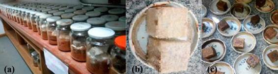 (a) Incubation room experiment; (b) Samples colonized by fungi; (c) Clean samples for oven drying.