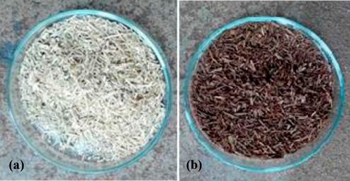 (a) Control particles; (b) Treated particles (Brito 2018).
