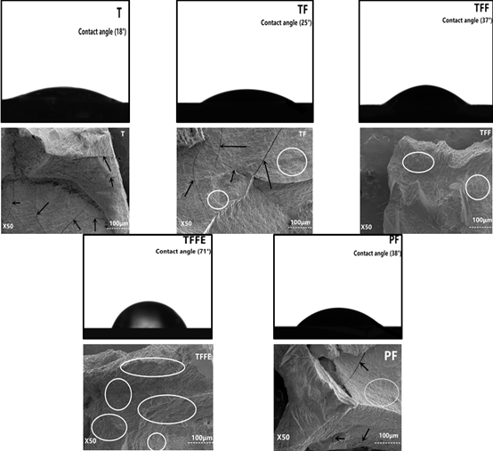 SEM micrographs and contact angle measurements for water on tannin-based adhesives and PF adhesive after curing.