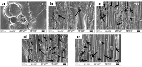 SEM images of wood fractured surface after dry strength test; (a) wood surface glued with T, (b) wood surface glued with TF, (c) wood surface glued with TFF, (d) wood surface glued with TFFE , (e) wood surface glued with PF adhesives.