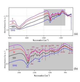 FT-IR spectra of different tannin-based adhesives. (a) 4000 cm&minus;1- 500 cm-1 wavelength range spectrum, (b) 2000 cm&minus;1- 600 cm-1 wavelength range spectrum.