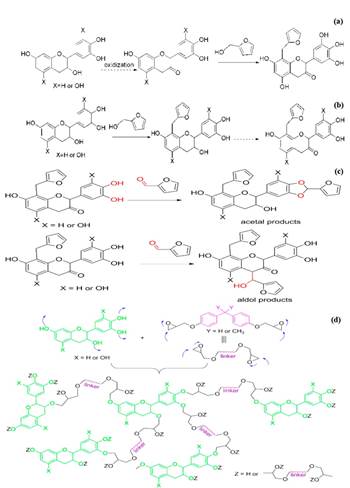 Suggested undergoing reactions between tannin, furfuryl alcohol, furfural and EPR. (a). oxidation of alcoholic group in tannin to ketone followed by reaction with furfuryl alcohol, (b) reaction of tannin with furfuryl alcohol followed by oxidation to ketone, (c) formation of acetal or aldol derivatives, (d) polyphenol(s) or alcohol in tannin react with di-epoxy to form a polyether with partial alcoholic or phenolic OH.