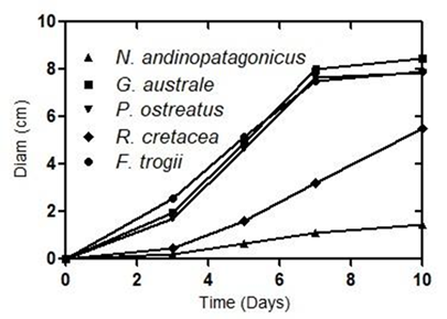 Average growth curves of all strains on MEA in Petri dishes. Standard error smaller than 5% in all cases.