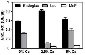 Endoglucanase, manganese peroxidase and laccase enzyme activities in different Ca++ concentrations. Data are mean values &plusmn; SE.