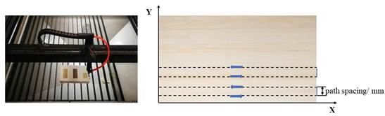 Experimental setup and detailed motion path.