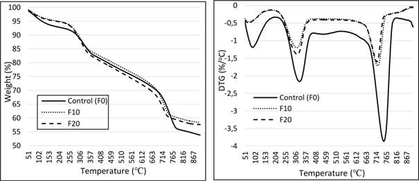 TGA/DTG curves of CBWPs containing FA.