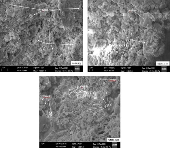 SEM images of fractured surfaces of the CBWPs with the FA.