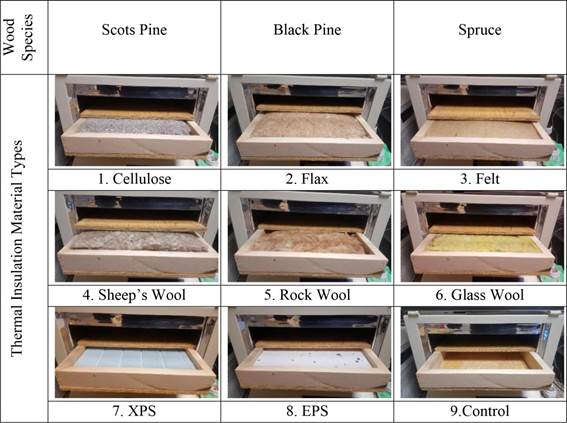 The descriptive information and views of the archetype specimen groups.