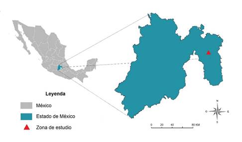 Lugar de colecta de &aacute;rboles de la especie Pinus pseudostrobus var. apulcensis.