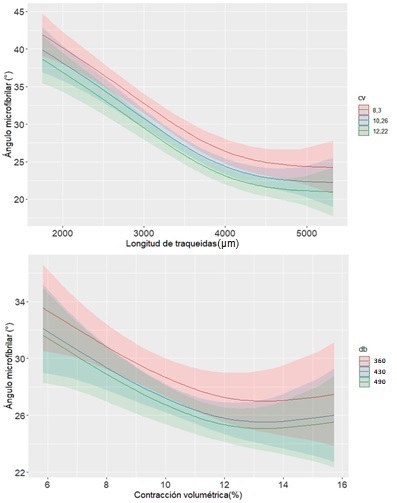 Comportamiento del &aacute;ngulo microfibrilar en funci&oacute;n de la CV y la DB manteniendo la LT fija. Las l&iacute;neas de colores muestran el modelo para cada valor de DB y sus intervalos de confianza.