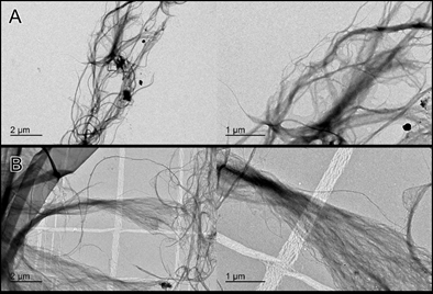 TEM images of cellulose nanofibers. (A) Bleached, (B) Unbleached.