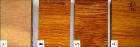 Visual color variation: (a) Control wood; (b) Wood with plain varnish; (c) Wood with varnish containing bleached MFC; (d) Wood with varnish containing unbleached MFC.