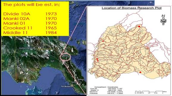 Location of Bulolo forest plantation and the study site