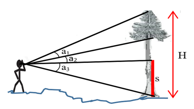 Diagrammatic representation of height reading