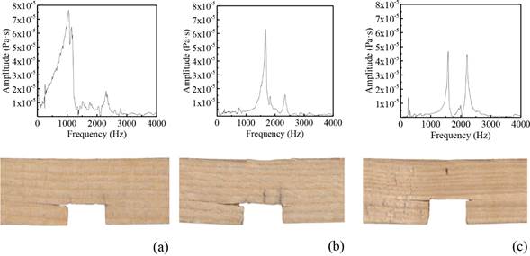 Typical failure modes of notched ash wood samples (a) Single crack located at latewood, (b) Single crack located at earlywood, and (c) Double cracks located at earlywood.