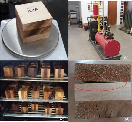 CLT specimen before testing; (b) Autoclave; (c) Specimens drying after pressure cycles; (d) CLT specimen with delamination.
