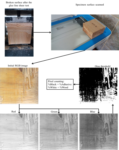 method for determining the percentage of failure at wood and adhesive on the broken surface by shearing the glue line.    