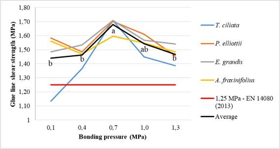 Shear strength in the glue line of CLT specimens.  