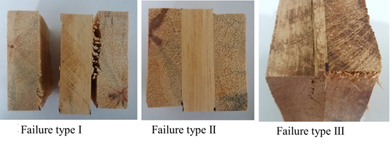 of failures observed on specimens after the shear tests of the glue lines.